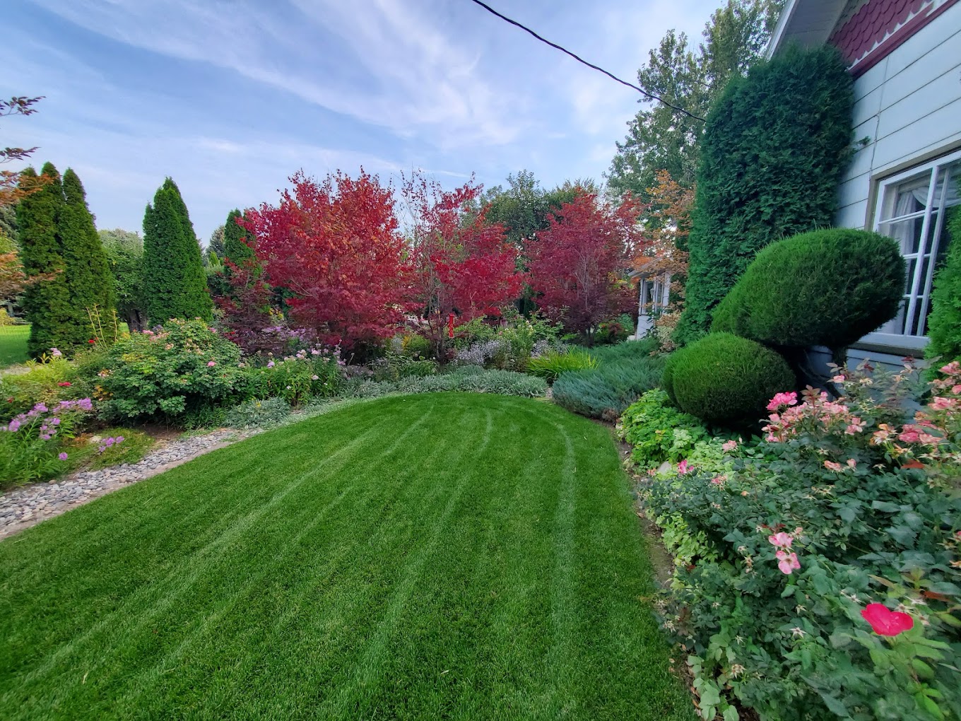Curved lawn edge with maintained shrubs and fall color trees