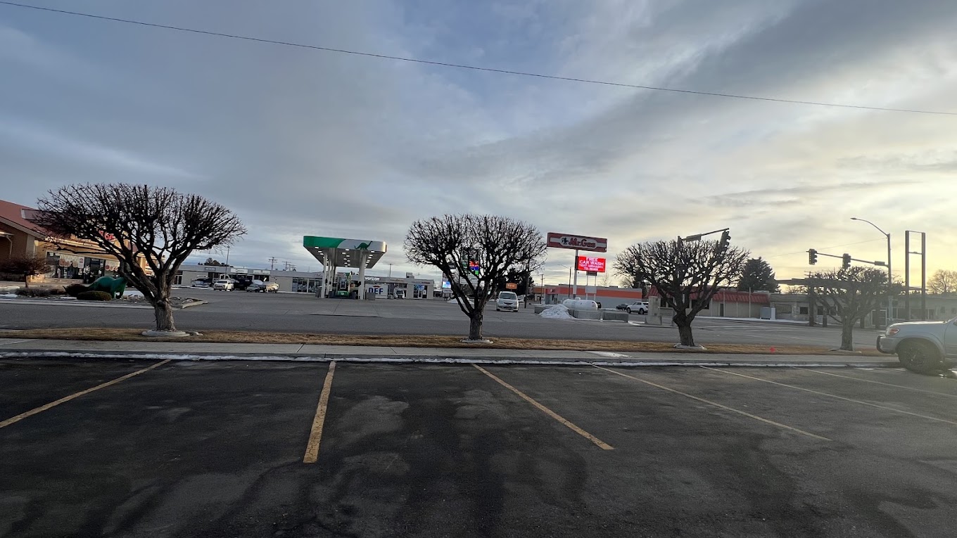Winter parking lot island trees pruned along a retail center